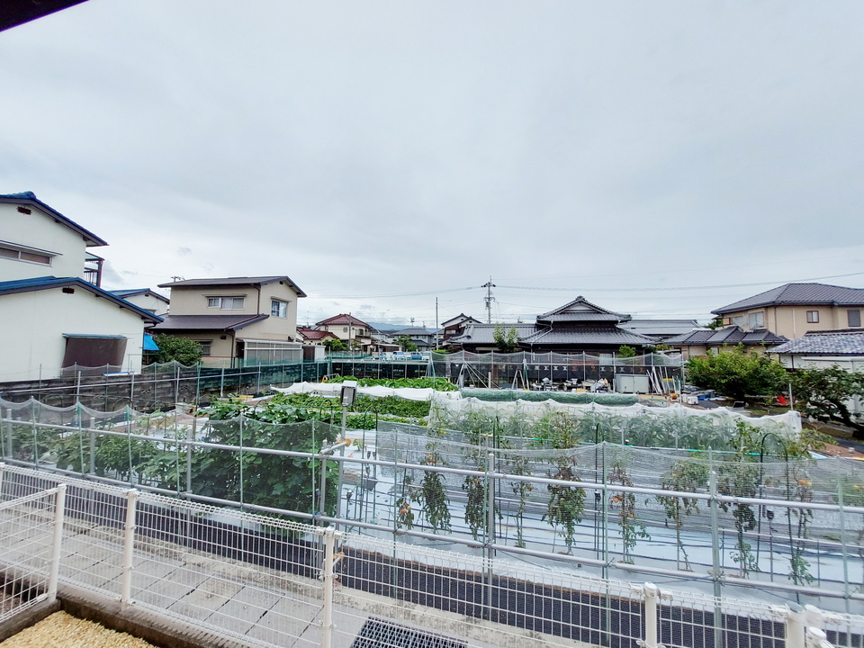 背景