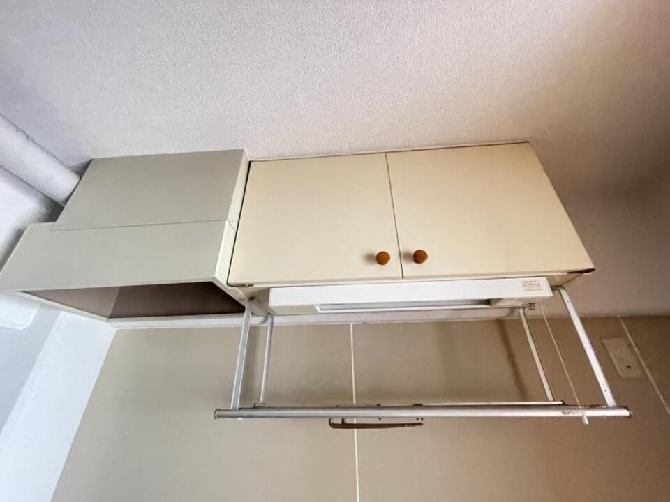 棚