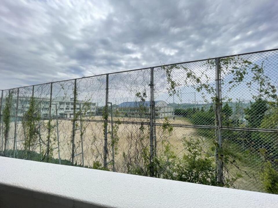 背景