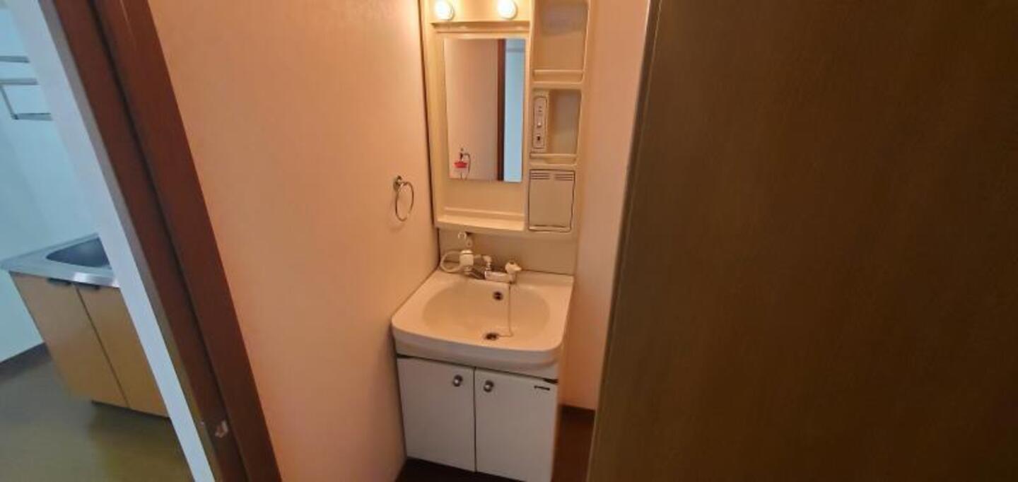 シャンプードレッサー