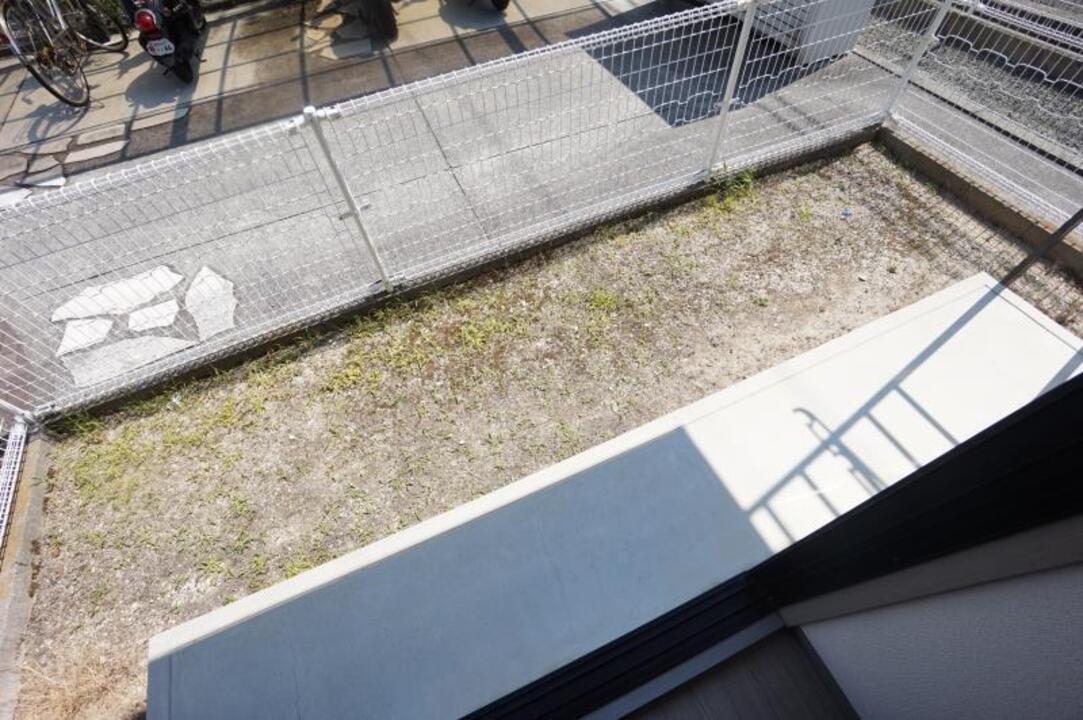 庭