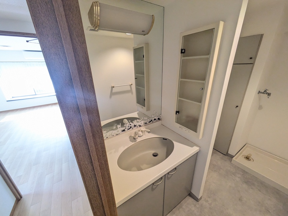 シャワー付洗面化粧台