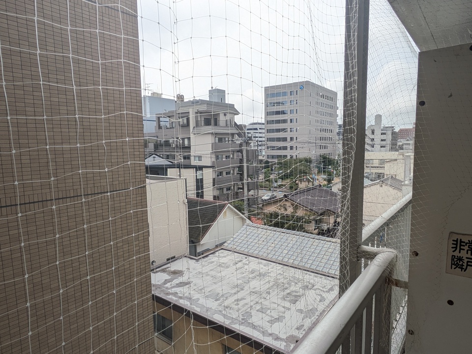 背景