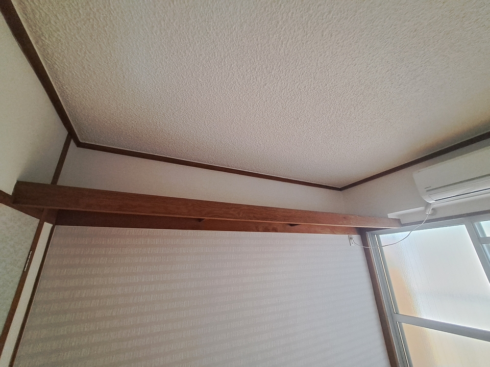 棚