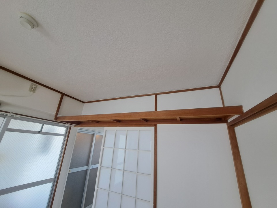 棚