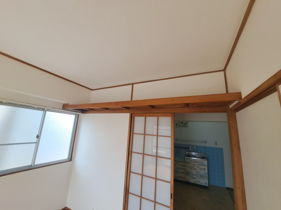 棚