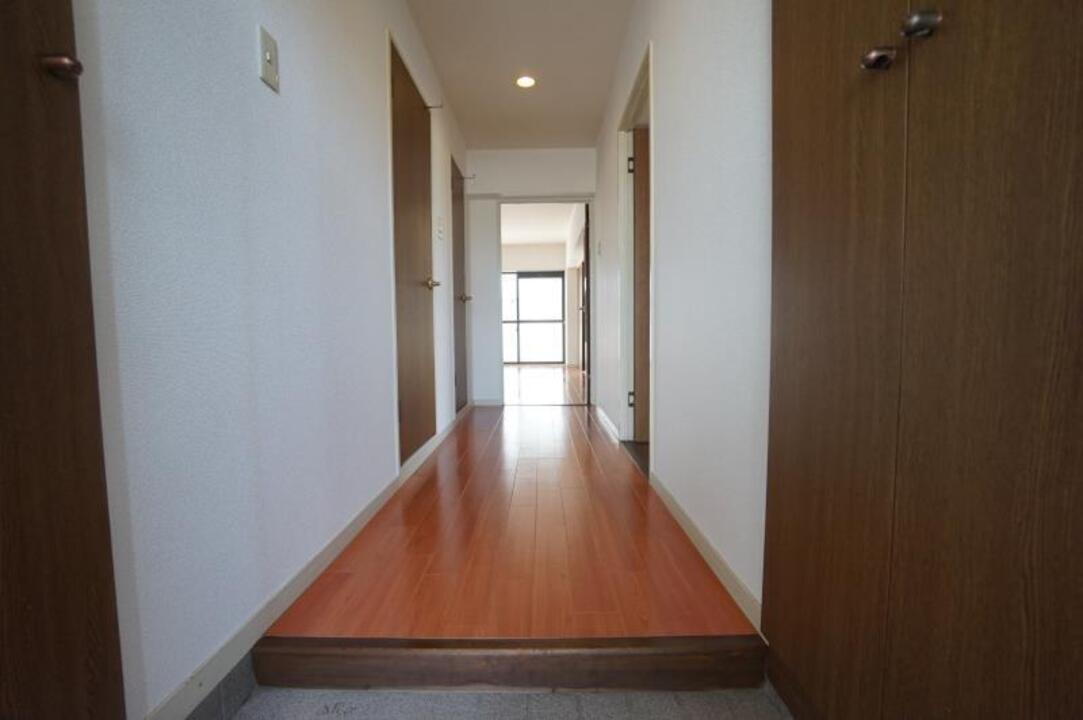 シャンプードレッサー