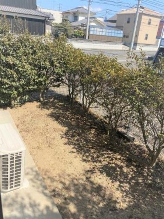 庭
