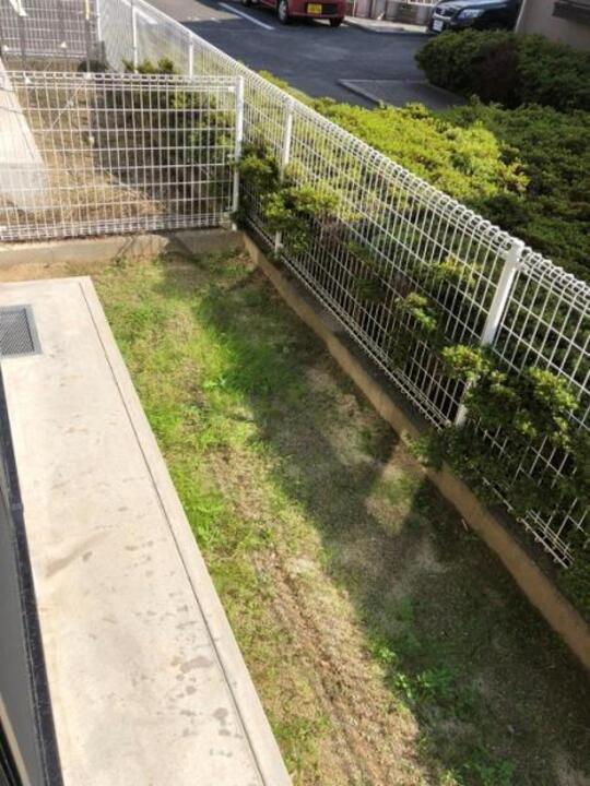 庭