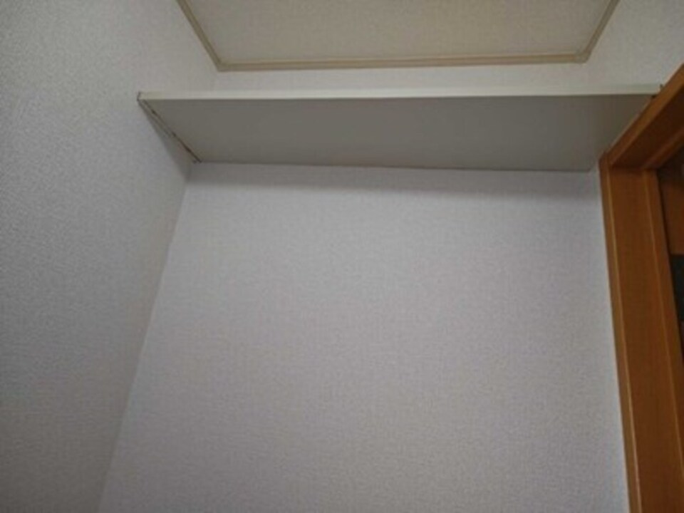棚