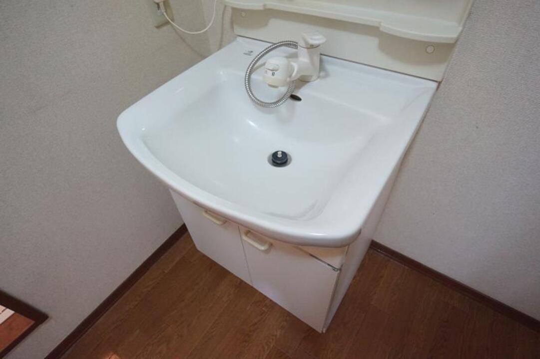 シャンプードレッサー