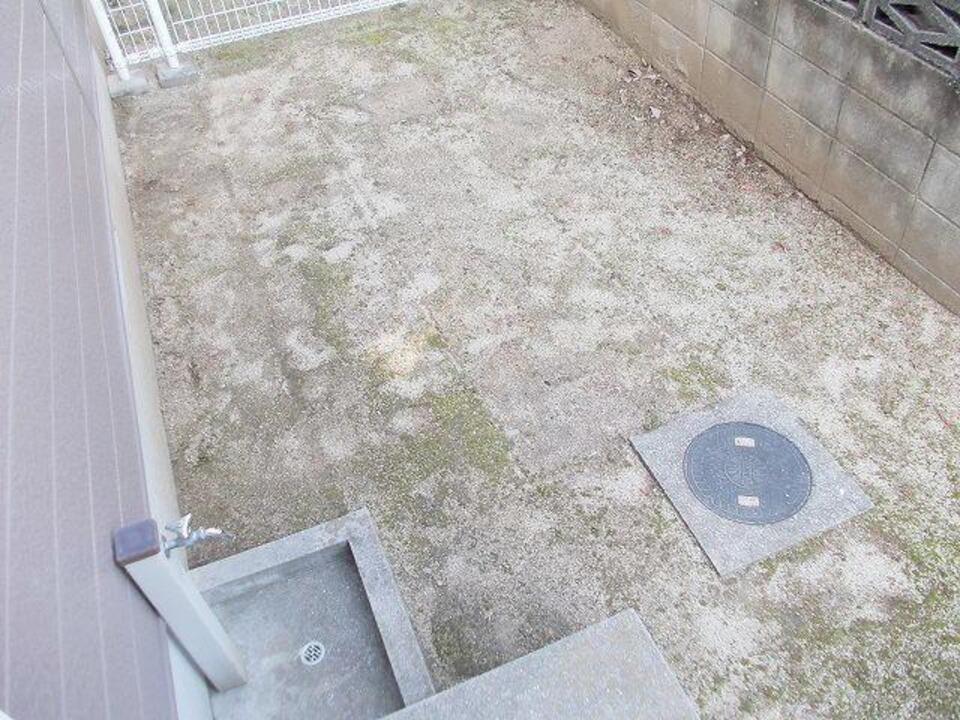庭