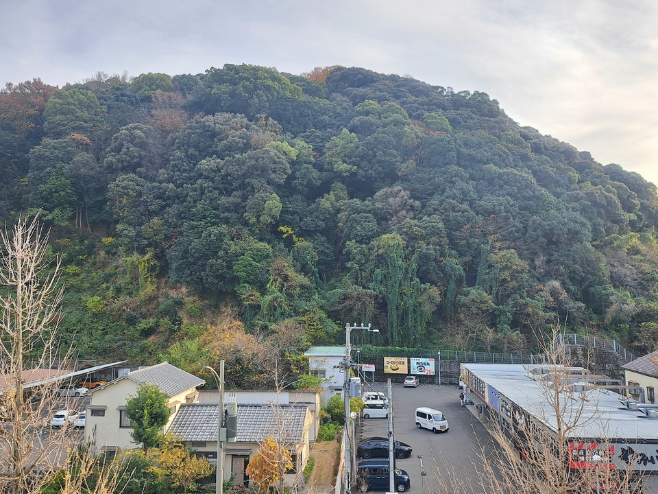 背景