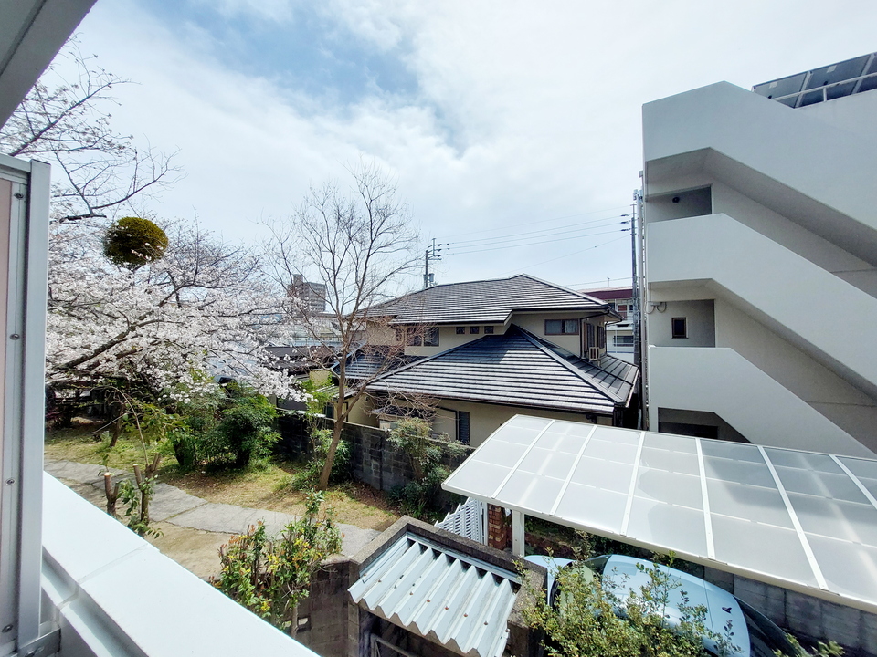 背景