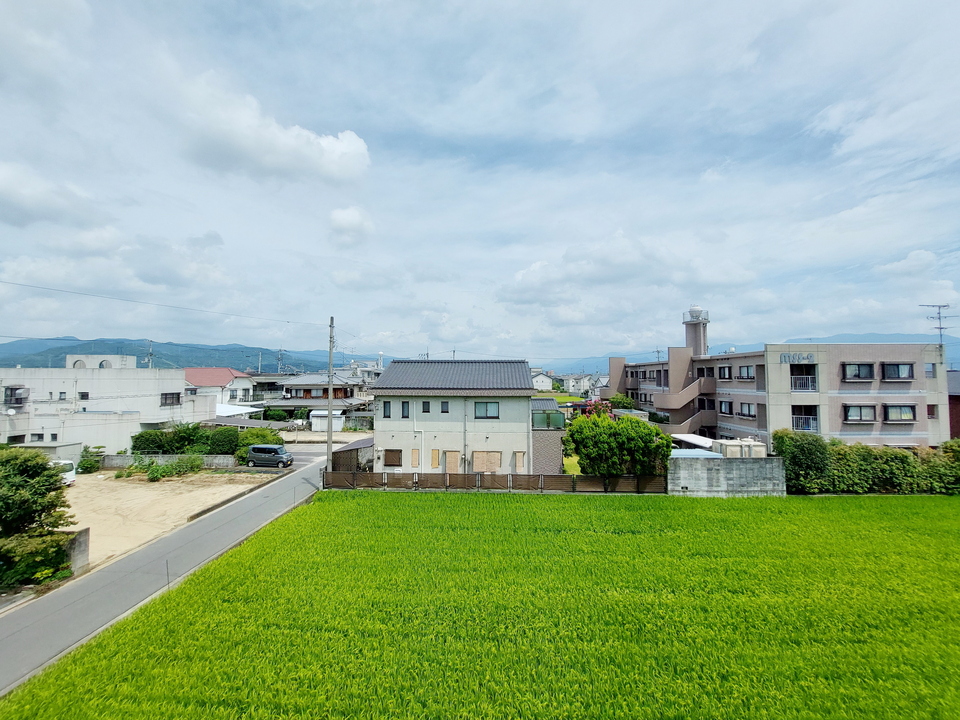 背景