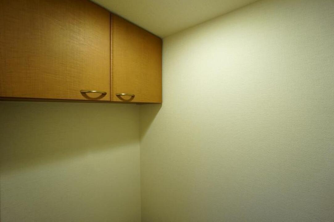 棚