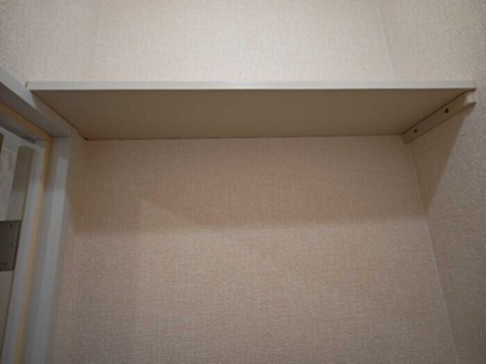 棚