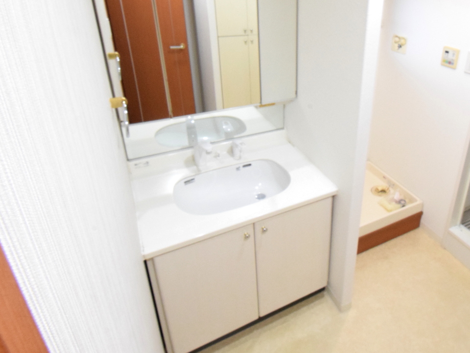 シャワー付洗面化粧台