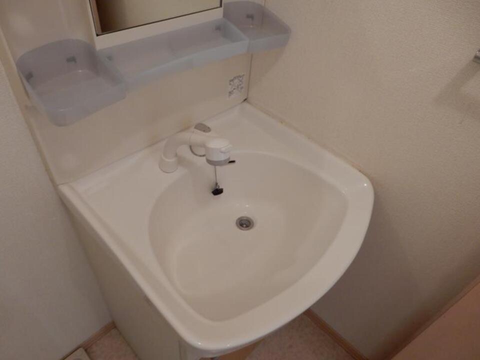 シャンプードレッサー