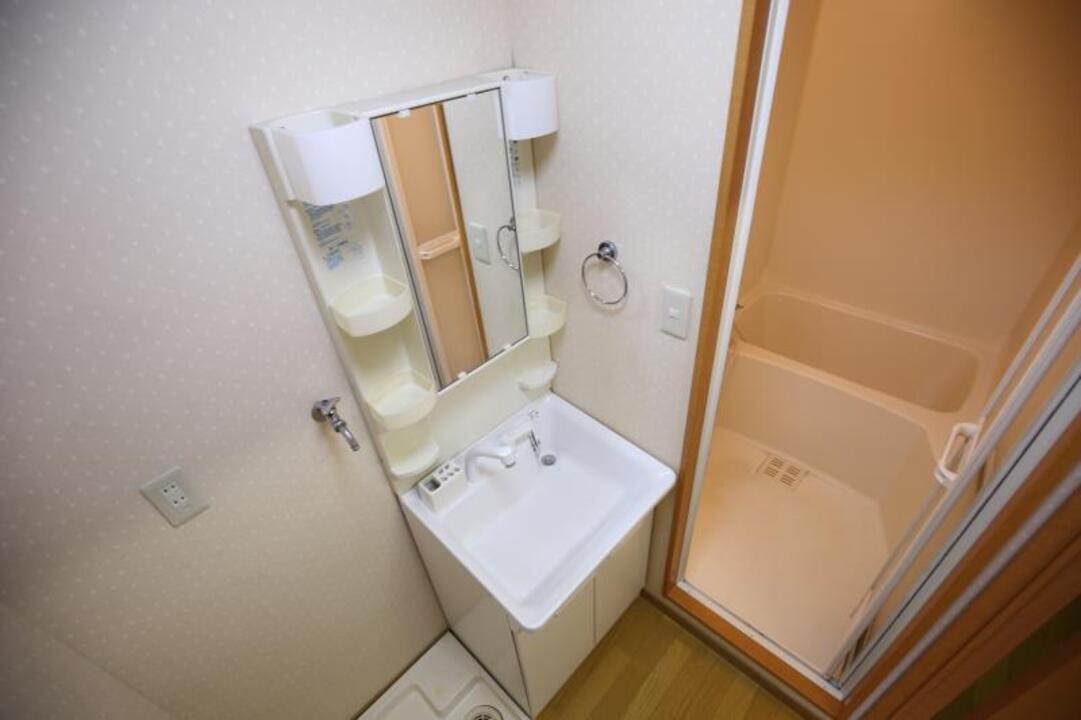 シャンプードレッサー