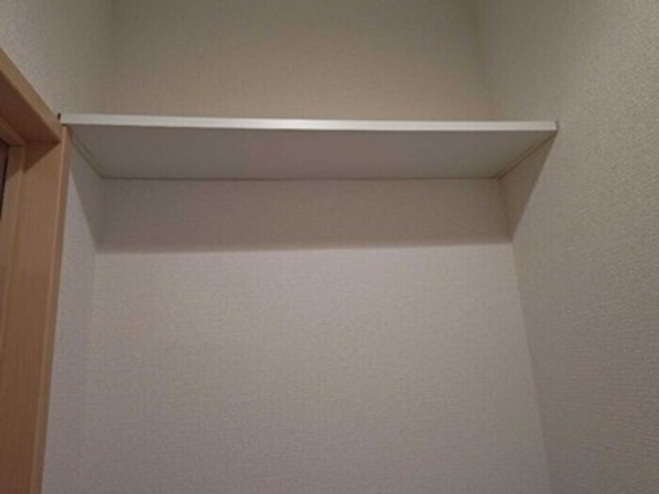 棚