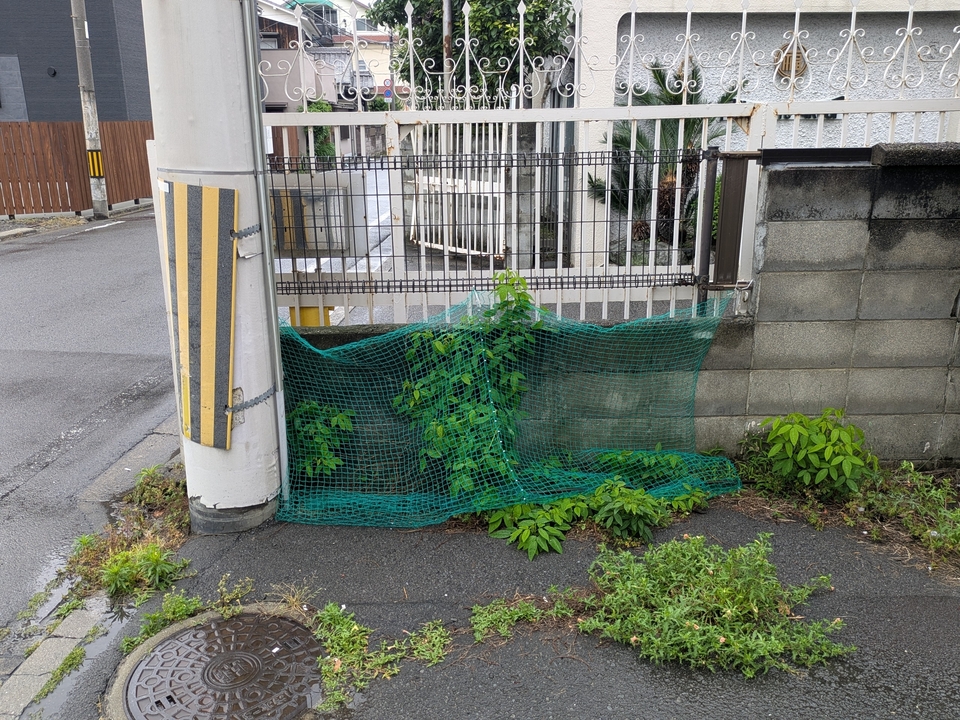 ゴミステーション