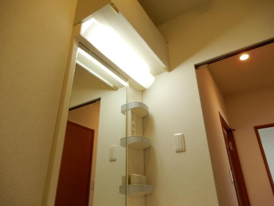 シャンプードレッサー