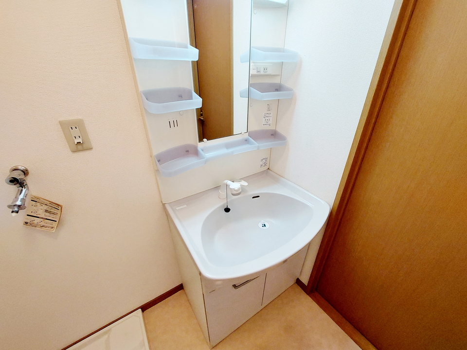 シャンプードレッサー