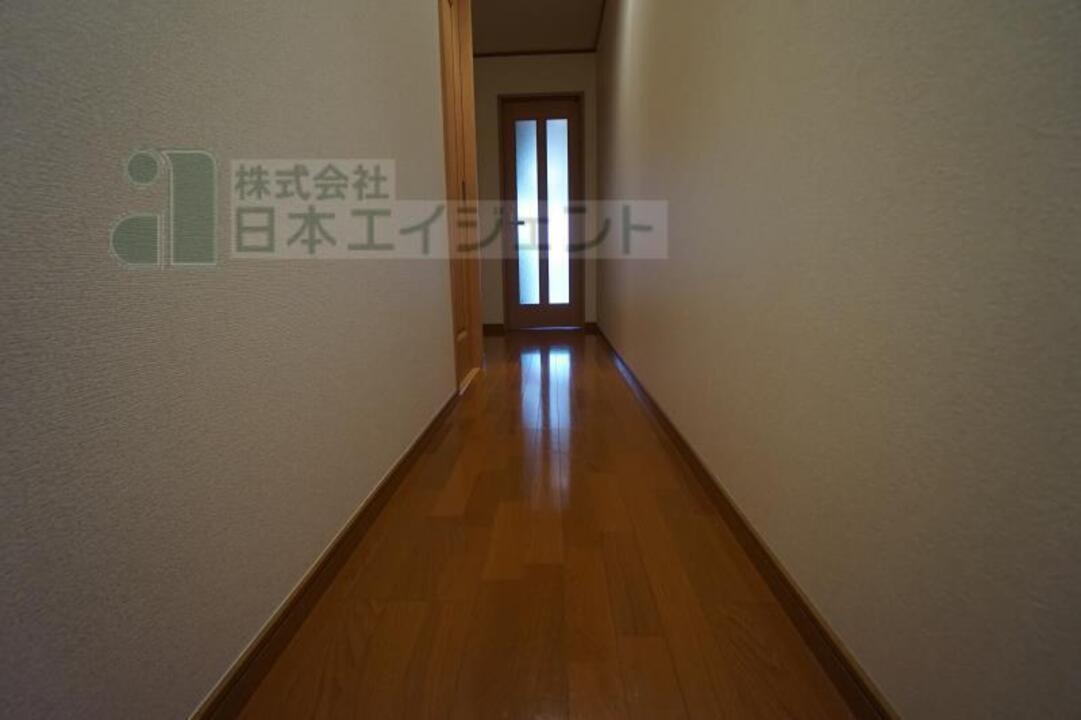 シャンプードレッサー