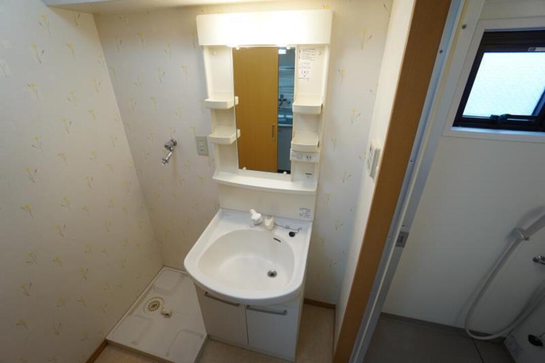 シャンプードレッサー