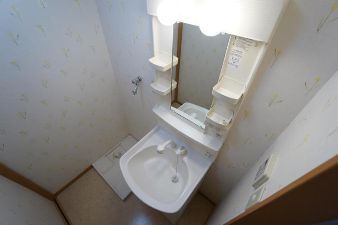 シャンプードレッサー