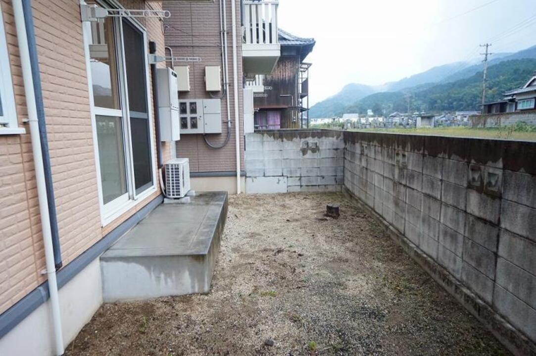 シャンプードレッサー