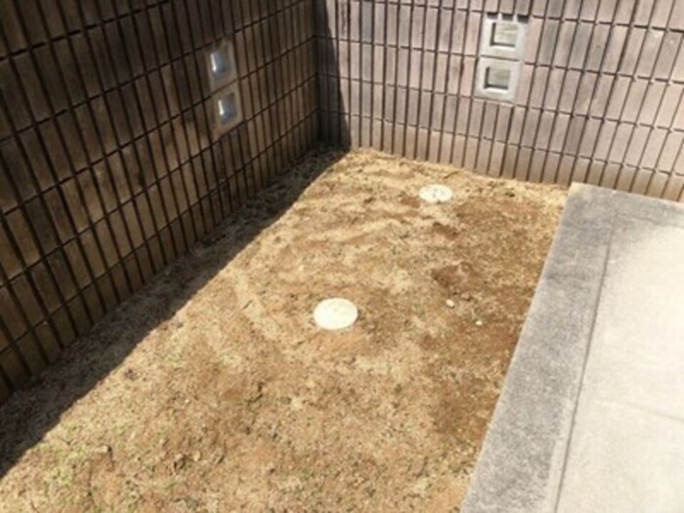 庭