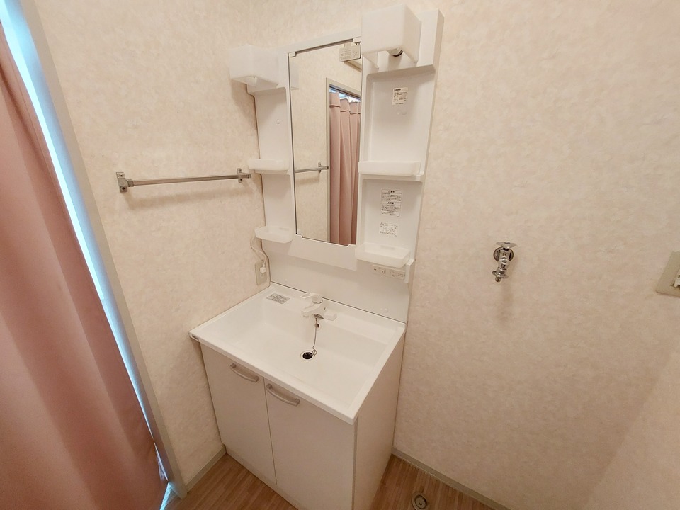 シャンプードレッサー