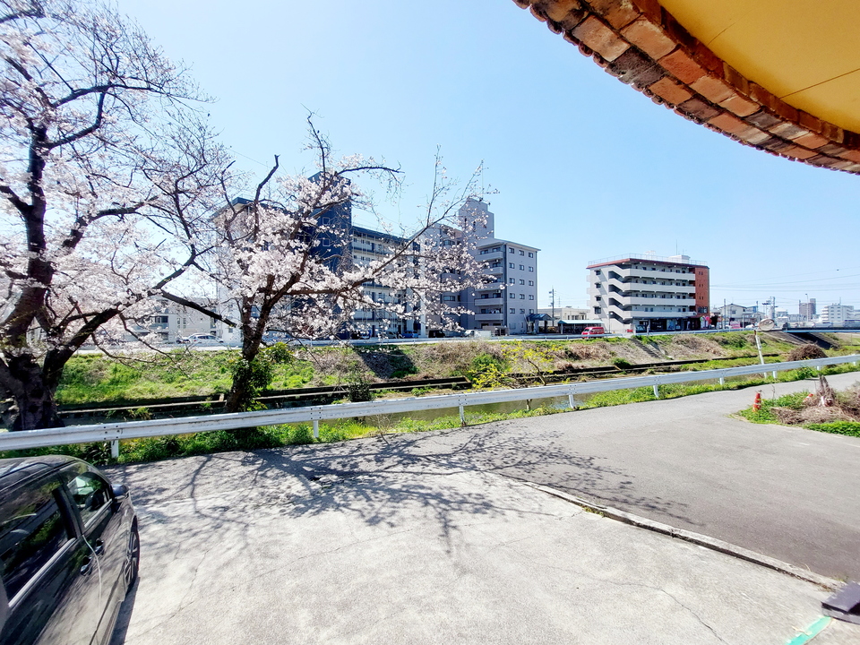 背景