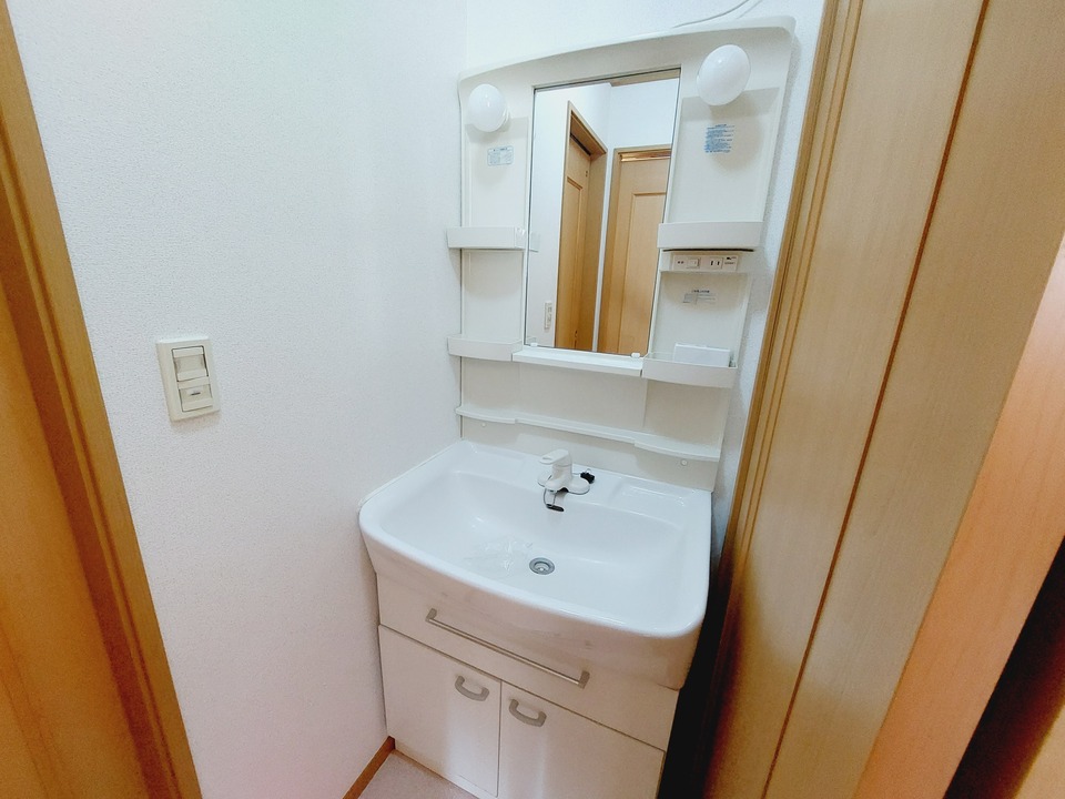 シャンプードレッサー