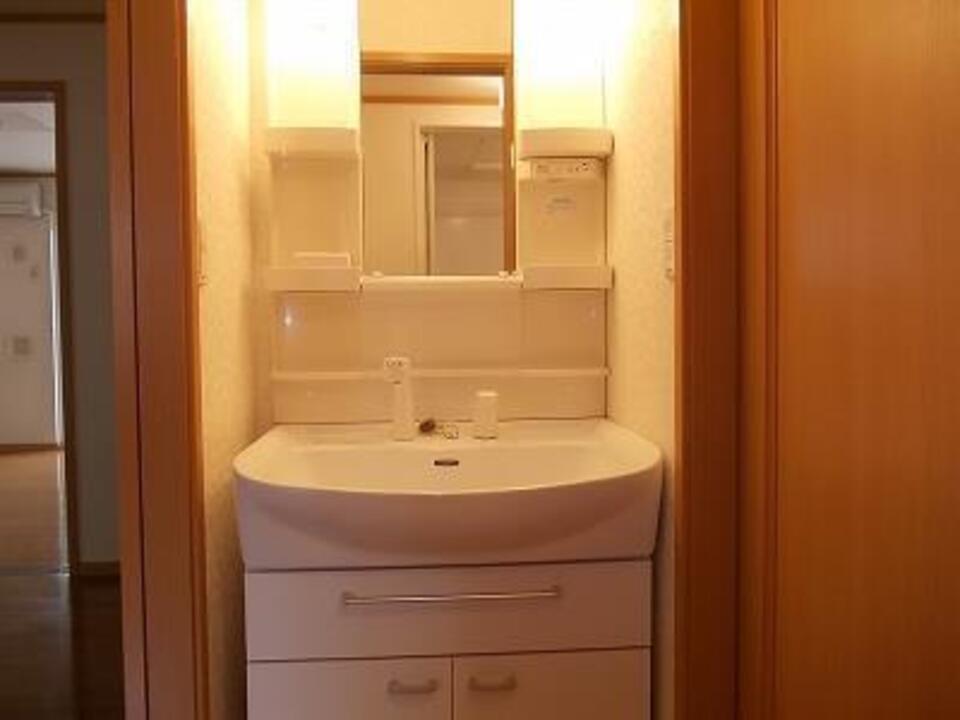 シャンプードレッサー