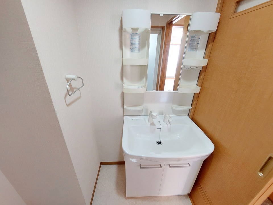 シャンプードレッサー