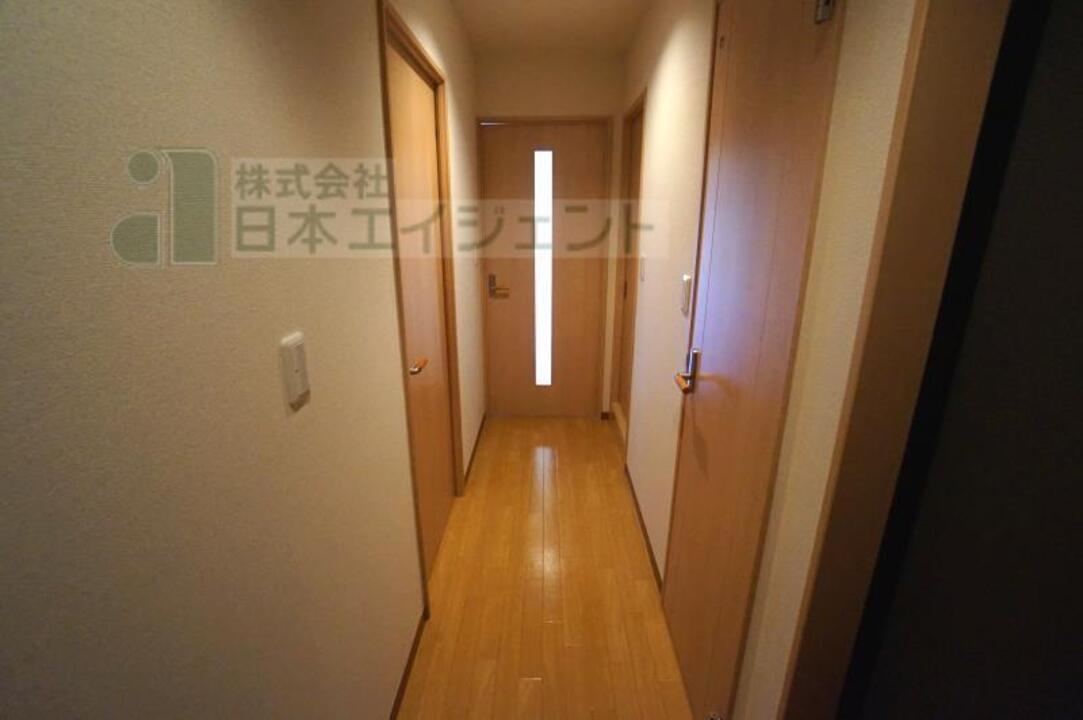 棚