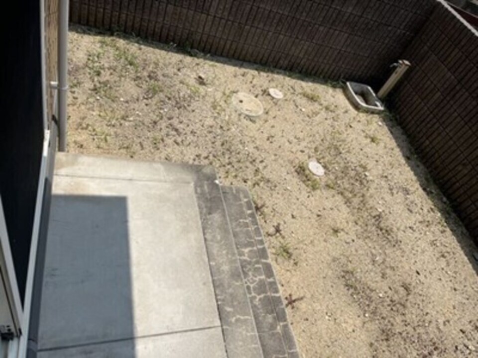 庭