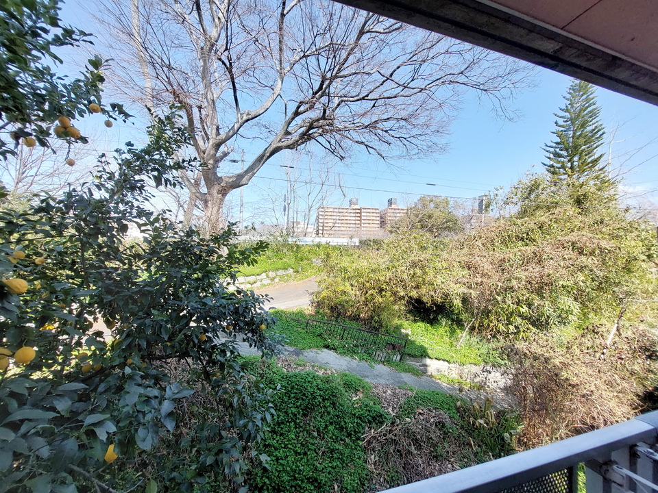 背景