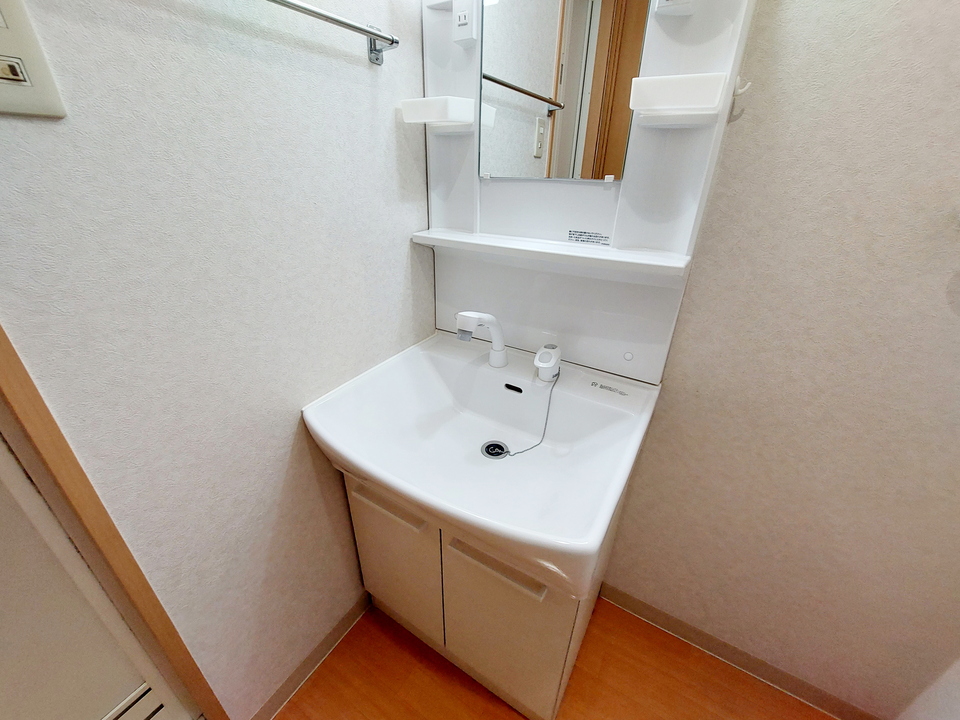 シャンプードレッサー