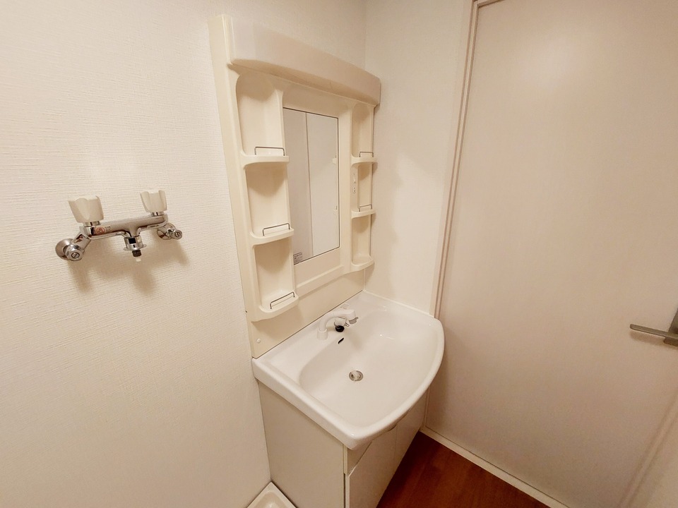 シャンプードレッサー