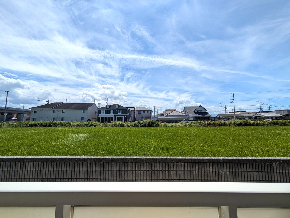 背景