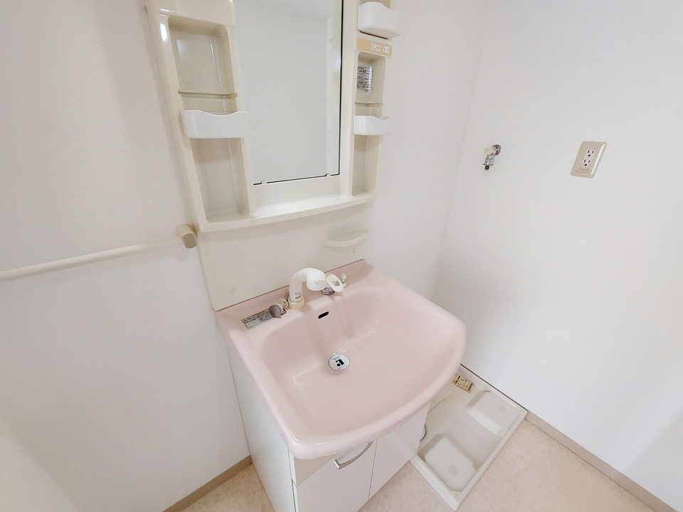 シャンプードレッサー