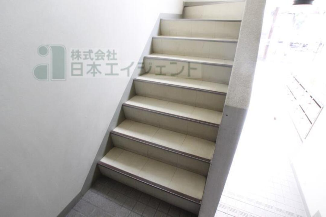 シャンプードレッサー