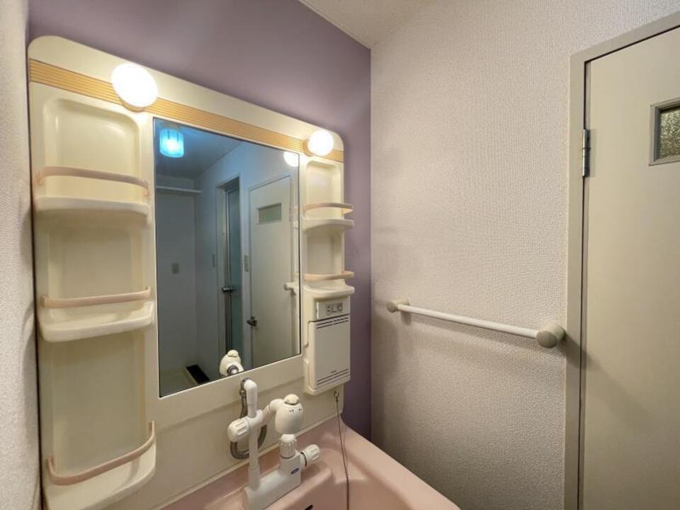 シャンプードレッサー