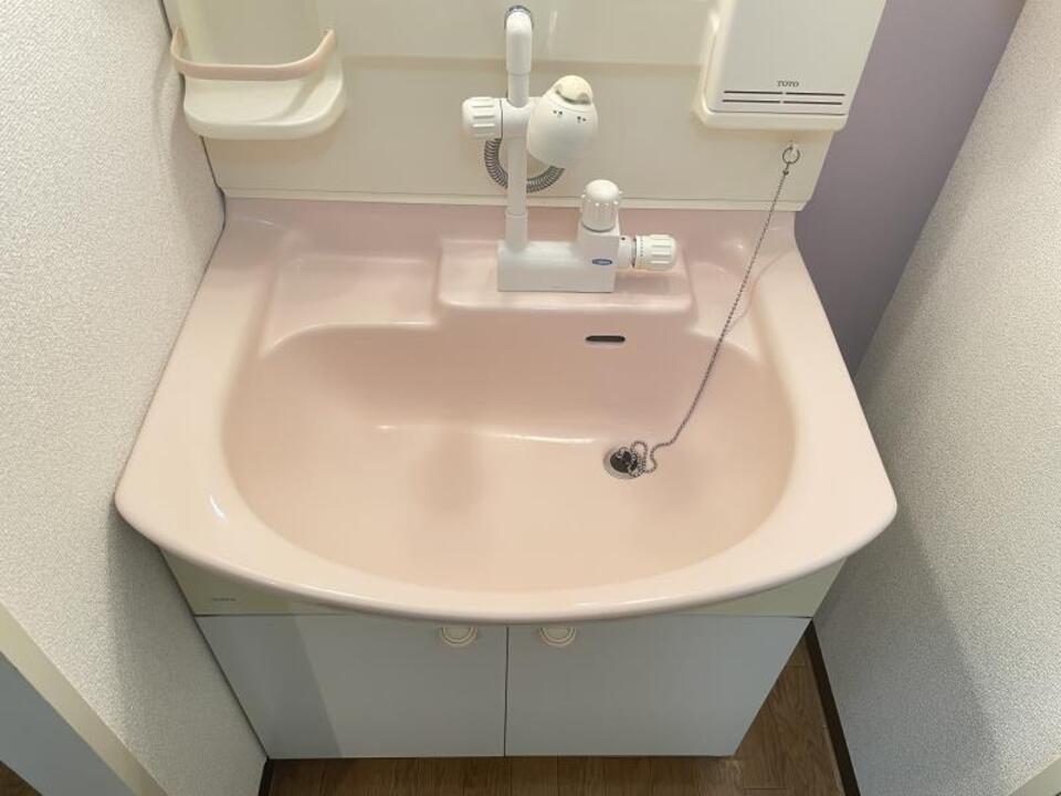 シャンプードレッサー