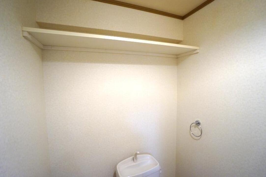 棚