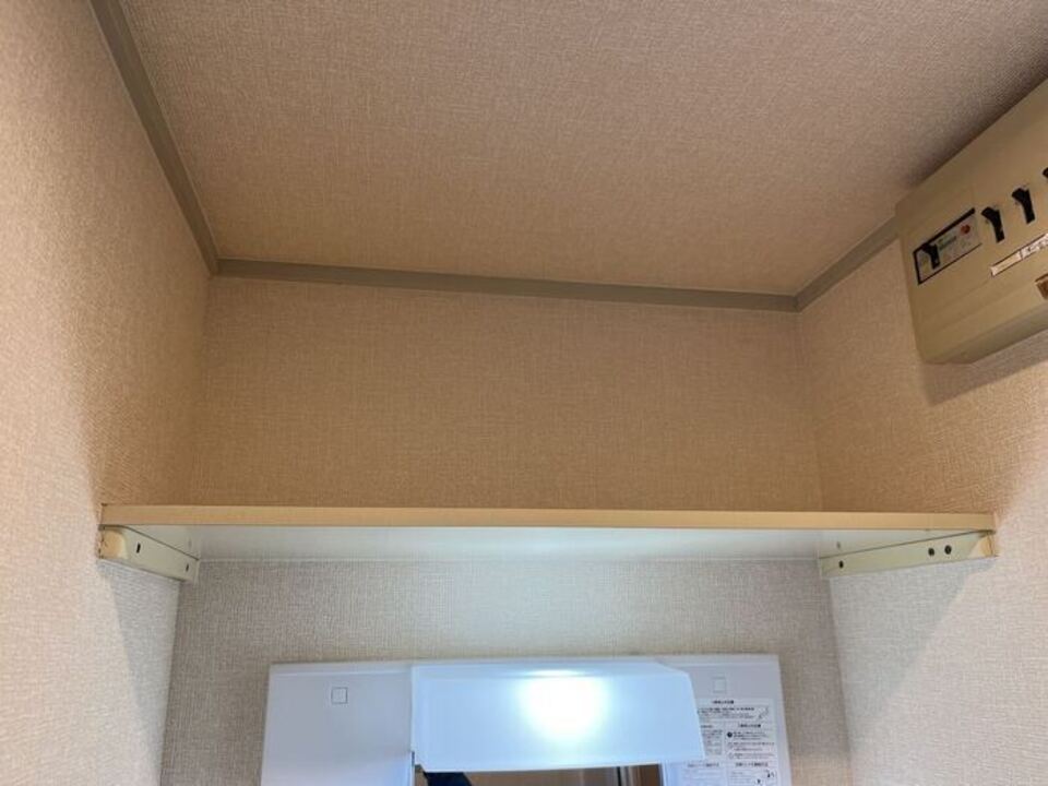 棚